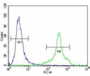 HLA-DQA1 antibody flow cytometric analysis of NCI-H460 cells (green) compared to a negative control cell (blue). FITC-conjugated goat-anti-rabbit secondary Ab was used for the analysis.