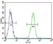 AARS2 antibody flow cytometric analysis of K562 cells (right histogram) compared to a negative control cell (left histogram). FITC-conjugated goat-anti-rabbit secondary Ab was used for the analysis.