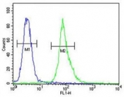 AKT1 antibody flow cytometric analysis of MDA-MB435 cells (right histogram) compared to a negative control (left histogram). FITC-conjugated goat-anti-rabbit secondary Ab was used for the analysis.