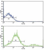 Flow cytometric analysis of ZR-75-1 cells using MCL1 antibody (green) compared to a negative control (blue). FITC-conjugated goat-anti-rabbit secondary Ab was used for the analysis.
