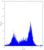 Pak4 antibody flow cytometric analysis of Neuro-2a cells. FITC-conjugated donkey-anti-rabbit secondary Ab was used for the analysis.