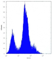 CD55 antibody flow cytometric analysis of HeLa cells (right histogram) compared to a negative control (left histogram). FITC-conjugated goat-anti-rabbit secondary Ab was used for the analysis.