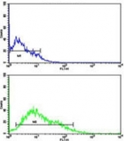 Flow cytometric analysis of HL-60 cells using LIN28B antibody (green) compared to a <a href=../search_result.php?search_txt=n1001>negative control</a> (blue). FITC-conjugated goat-anti-rabbit secondary Ab was used for the analysis.