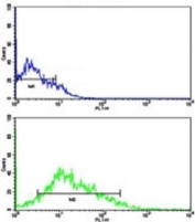 Flow cytometric analysis of HL-60 cells using LIN28B antibody (green) compared to a <a href=../search_result.php?search_txt=n1001>negative control</a> (blue). FITC-conjugated goat-anti-rabbit secondary Ab was used for the analysis.