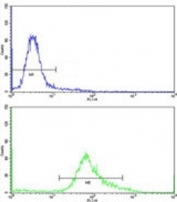 Flow cytometric analysis of HeLa cells using PHGDH antibody (green) compared to a <a href=