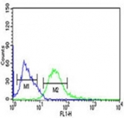 PHGDH antibody flow cytometric analysis of Ramos cells (green) compared to a <a href=../search_result.php?search_txt=n1001>negative control</a> (blue). FITC-conjugated goat-anti-rabbit secondary Ab was used for the analysis.