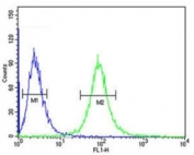 CD46 antibody flow cytometric analysis of CEM cells (green) compared to a negative control (blue). FITC-conjugated goat-anti-rabbit secondary Ab was used for the analysis.
