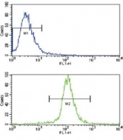 Flow cytometric analysis of NCI-H460 cells using anti-Caspase-3 antibody (bottom histogram) compared to a negative control cell (top histogram). FITC-conjugated goat-anti-rabbit secondary Ab was used for the analysis.