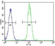 TrkA antibody flow cytometric analysis of HeLa cells (green) compared to a negative control (blue). FITC-conjugated goat-anti-rabbit secondary Ab was used for the analysis.