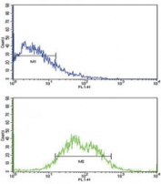 Flow cytometric analysis of HepG2 cells using ALK1 antibody (bottom histogram) compared to a negative control (top histogram). FITC-conjugated goat-anti-rabbit secondary Ab was used for the analysis.