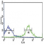 MyD88 antibody flow cytometric analysis of NCI-H460 cells (green) compared to a <a href=