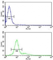 FACS testing of human 293 cells with Retinoblastoma antibody (green) and a negative control pAb (blue). FITC-conjugated goat-anti-rabbit secondary Ab was used for the analysis.