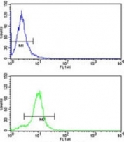 CYP2E1 antibody flow cytometry analysis of HepG2 cells (green) compared to a negative control (blue). FITC-conjugated goat-anti-rabbit secondary Ab was used for the analysis.