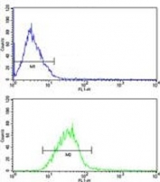 PIN1 antibody FACS analysis of MCF-7 cells (green) compared to a <a href=