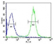 ANGPTL4 antibody flow cytometric analysis of HepG2 cells (green) compared to a negative control (blue). FITC-conjugated goat-anti-rabbit secondary Ab was used for the analysis.