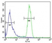 STING antibody flow cytometric analysis of HeLa cells (green) compared to a <a href=../search_result.php?search_txt=n1001>negative control</a> (blue). FITC-conjugated goat-anti-rabbit secondary Ab was used for the analysis.