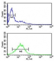 Phospholamban antibody flow cytometric analysis of Jurkat cells (green) compared to a negative control (blue). FITC-conjugated goat-anti-rabbit secondary Ab was used for the analysis.