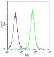 Intracellular FACS testing of human HeLa cells with LASS4 antibody (green) and <a href=../search_result.php?search_txt=n1001>isotype control</a> (blue) at 1:25.
