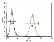 Flow cytometry testing of fixed and permeabilized human MCF7 cells with ATP1A2 antibody; Blue=isotype control, Green= ATP1A2 antibody.