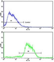 Flow cytometry testing of human HepG2 cells with Cadherin 4 antibody; Blue=isotype control, Green= Cadherin 4 antibody.