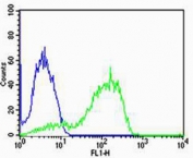 Flow cytometry testing of fixed and permeabilized human MCF7 cells with AGAP4 antibody; Blue=isotype control, Green= AGAP4 antibody.