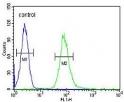 Flow cytometry testing of human HL60 cells with IL2 Receptor gamma antibody; Blue=isotype control, Green= IL2 Receptor gamma antibody.