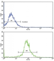 Flow cytometry testing of human HepG2 cells with Adenine phosphoribosyltransferase antibody; Blue=isotype control, Green= Adenine phosphoribosyltransferase antibody.