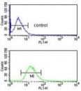 Flow cytometry testing of human HepG2 cells with BLOC1S2 antibody; Blue=isotype control, Green= BLOC1S2 antibody.
