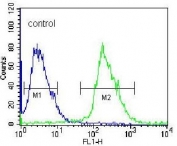 Flow cytometry testing of human HEK293 cells with KLK6 antibody; Blue=isotype control, Green= KLK6 antibody.