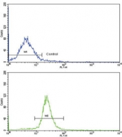 Flow cytometry testing of human WiDr cells with ARPC1A antibody; Blue=isotype control, Green= ARPC1A antibody.