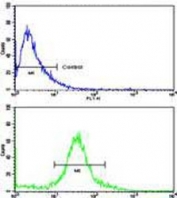 Flow cytometry testing of fixed and permeabilized human MDA-MB-231 cells with TIMP1 antibody; Blue=isotype control, Green= TIMP1 antibody.