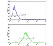 Flow cytometry testing of human MCF7 cells with ARPC1B antibody; Blue=isotype control, Green= ARPC1B antibody.
