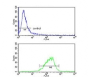 Flow cytometry testing of fixed and permeabilized human HT-29 cells with COX6A1 antibody; Blue=isotype control, Green= COX6A1 antibody.