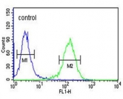 Flow cytometry testing of fixed and permeabilized human K562 cells with MARCO antibody; Blue=isotype control, Green= MARCO antibody.