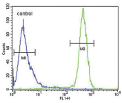 Flow cytometry testing of human HeLa cells with SCN1B antibody; Blue=isotype control, Green= SCN1B antibody.