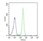 Flow cytometry testing of fixed human K562 cells with IL1RL2 antibody; Blue=isotype control, Green= IL1RL2 antibody.