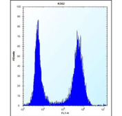 Flow cytometry testing of fixed and permeabilized human K562 cells with MT-ND3 antibody (right) and isotype control (left).