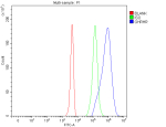Flow Cytometry analysis of 293T cells using anti-GHRHR antibody. Overlay histogram showing 293T cells stained with (Blue line). The cells were fixed with 4% paraformaldehyde and blocked with 10% normal goat serum. And then incubated with rabbit anti-GHRHR antibody (1 ug/million cells) for 30 min at 20oC. DyLight 488 conjugated goat anti-rabbit IgG (5-10 ug/million cells) was used as secondary antibody for 30 minutes at 20oC. Isotype control antibody (Green line) was rabbit IgG (1 ug/million cells) used under the same conditions. Unlabelled sample without incubation with primary antibody and secondary antibody (Red line) was used as a blank control.