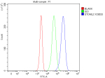 Flow Cytometry analysis of Jurkat cells using anti-STOML2 antibody. Overlay histogram showing Jurkat cells stained with (Blue line). The cells were fixed with 4% paraformaldehyde and blocked with 10% normal goat serum. And then incubated with rabbit anti-STOML2 antibody (1 ug/million cells) for 30 min at 20oC. DyLight 488 conjugated goat anti-rabbit IgG (5-10 ug/million cells) was used as secondary antibody for 30 minutes at 20oC. Isotype control antibody (Green line) was rabbit IgG (1 ug/million cells) used under the same conditions. Unlabelled sample without incubation with primary antibody and secondary antibody (Red line) was used as a blank control.