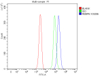 Flow Cytometry analysis of Jurkat cells using anti-RBBP6 antibody. Overlay histogram showing Jurkat cells stained with (Blue line). To facilitate intracellular staining, cells were fixed with 4% paraformaldehyde and permeabilized with permeabilization buffer. The cells were blocked with 10% normal goat serum. And then incubated with rabbit anti-RBBP6 antibody (1 ug/million cells) for 30 min at 20oC. DyLight 488 conjugated goat anti-rabbit IgG (5-10 ug/million cells) was used as secondary antibody for 30 minutes at 20oC. Isotype control antibody (Green line) was rabbit IgG (1 ug/million cells) used under the same conditions. Unlabelled sample without incubation with primary antibody and secondary antibody (Red line) was used as a blank control.