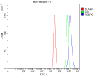 Flow Cytometry analysis of MCF-7 cells using anti-RBBP8 antibody. Overlay histogram showing MCF-7 cells stained with (Blue line). To facilitate intracellular staining, cells were fixed with 4% paraformaldehyde and permeabilized with permeabilization buffer. The cells were blocked with 10% normal goat serum. And then incubated with rabbit anti-RBBP8 antibody (1 ug/million cells) for 30 min at 20oC. DyLight 488 conjugated goat anti-rabbit IgG (5-10 ug/million cells) was used as secondary antibody for 30 minutes at 20oC. Isotype control antibody (Green line) was rabbit IgG (1 ug/million cells) used under the same conditions. Unlabelled sample (Red line) was also used as a control.