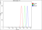Flow Cytometry analysis of U251 cells using anti-SSX2IP antibody. Overlay histogram showing U251 cells stained with (Blue line). To facilitate intracellular staining, cells were fixed with 4% paraformaldehyde and permeabilized with permeabilization buffer. The cells were blocked with 10% normal goat serum. And then incubated with rabbit anti-SSX2IP antibody (1 ug/million cells) for 30 min at 20oC. DyLight 488 conjugated goat anti-rabbit IgG (5-10 ug/million cells) was used as secondary antibody for 30 minutes at 20oC. Isotype control antibody (Green line) was rabbit IgG (1 ug/million cells) used under the same conditions. Unlabelled sample (Red line) was also used as a control.