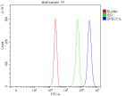 Flow Cytometry analysis of HepG2 cells using anti-SPECC1L antibody. Overlay histogram showing HepG2 cells stained with (Blue line). To facilitate intracellular staining, cells were fixed with 4% paraformaldehyde and permeabilized with permeabilization buffer. The cells were blocked with 10% normal goat serum. And then incubated with rabbit anti-SPECC1L antibody (1 ug/million cells) for 30 min at 20oC. DyLight 488 conjugated goat anti-rabbit IgG (5-10 ug/million cells) was used as secondary antibody for 30 minutes at 20oC. Isotype control antibody (Green line) was rabbit IgG (1 ug/million cells) used under the same conditions. Unlabelled sample without incubation with primary antibody and secondary antibody (Red line) was used as a blank control.