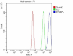 Flow Cytometry analysis of HEL cells using anti-IRF2BPL antibody. Overlay histogram showing HEL cells stained with (Blue line). To facilitate intracellular staining, cells were fixed with 4% paraformaldehyde and permeabilized with permeabilization buffer. The cells were blocked with 10% normal goat serum. And then incubated with rabbit anti-IRF2BPL antibody (1 ug/million cells) for 30 min at 20oC. DyLight 488 conjugated goat anti-rabbit IgG (5-10 ug/million cells) was used as secondary antibody for 30 minutes at 20oC. Isotype control antibody (Green line) was rabbit IgG (1 ug/million cells) used under the same conditions. Unlabelled sample without incubation with primary antibody and secondary antibody (Red line) was used as a blank control.