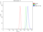 Flow Cytometry analysis of HepG2 cells using anti-PLIN5 antibody. Overlay histogram showing HepG2 cells stained with (Blue line). To facilitate intracellular staining, cells were fixed with 4% paraformaldehyde and permeabilized with permeabilization buffer. The cells were blocked with 10% normal goat serum. And then incubated with rabbit anti-PLIN5 antibody (1 ug/million cells) for 30 min at 20oC. DyLight 488 conjugated goat anti-rabbit IgG (5-10 ug/million cells) was used as secondary antibody for 30 minutes at 20oC. Isotype control antibody (Green line) was rabbit IgG (1 ug/million cells) used under the same conditions. Unlabelled sample without incubation with primary antibody and secondary antibody (Red line) was used as a blank control.