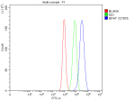 Flow Cytometry analysis of Caco-2 cells using anti-NPAT antibody. Overlay histogram showing Caco-2 cells stained with (Blue line). To facilitate intracellular staining, cells were fixed with 4% paraformaldehyde and permeabilized with permeabilization buffer. The cells were blocked with 10% normal goat serum. And then incubated with rabbit anti-NPAT antibody (1 ug/million cells) for 30 min at 20oC. DyLight 488 conjugated goat anti-rabbit IgG (5-10 ug/million cells) was used as secondary antibody for 30 minutes at 20oC. Isotype control antibody (Green line) was rabbit IgG (1 ug/million cells) used under the same conditions. Unlabelled sample without incubation with primary antibody and secondary antibody (Red line) was used as a blank control.