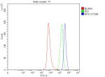 Flow Cytometry analysis of SH-SY5Y cells using anti-EFS antibody. Overlay histogram showing SH-SY5Y cells stained with (Blue line). To facilitate intracellular staining, cells were fixed with 4% paraformaldehyde and permeabilized with permeabilization buffer. The cells were blocked with 10% normal goat serum. And then incubated with rabbit anti-EFS antibody (1 ug/million cells) for 30 min at 20oC. DyLight 488 conjugated goat anti-rabbit IgG (5-10 ug/million cells) was used as secondary antibody for 30 minutes at 20oC. Isotype control antibody (Green line) was rabbit IgG (1 ug/million cells) used under the same conditions. Unlabelled sample without incubation with primary antibody and secondary antibody (Red line) was used as a blank control.