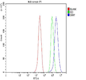 Flow cytometry analysis of fixed and permeabilized human MCF7 cells with SRRT antibody at 1ug/million cells (blocked with goat sera); Red=cells alone, Green=isotype control, Blue= SRRT antibody.