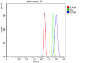Flow cytometry analysis of fixed and permeabilized human MCF7 cells with RIGI antibody at 1ug/million cells (blocked with goat sera); Red=cells alone, Green=isotype control, Blue= RIGI antibody.
