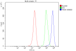 Flow Cytometry analysis of MCF-7 cells using anti-TNS4 antibody. Overlay histogram showing MCF-7 cells stained with (Blue line). To facilitate intracellular staining, cells were fixed with 4% paraformaldehyde and permeabilized with permeabilization buffer. The cells were blocked with 10% normal goat serum. And then incubated with rabbit anti-TNS4 antibody (1 ug/million cells) for 30 min at 20oC. DyLight 488 conjugated goat anti-rabbit IgG (5-10 ug/million cells) was used as secondary antibody for 30 minutes at 20oC. Isotype control antibody (Green line) was rabbit IgG (1 ug/million cells) used under the same conditions. Unlabelled sample without incubation with primary antibody and secondary antibody (Red line) was used as a blank control.